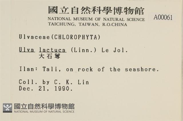 大石蓴, 石蓴藏品圖，第2張
