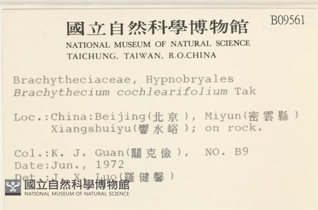 登錄號:B00009561藏品圖，第2張