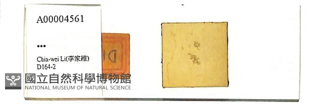 登錄號:A00004561藏品圖，第1張