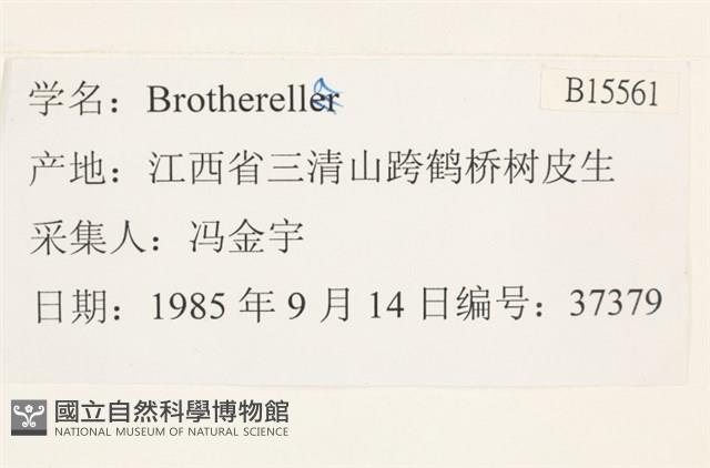登錄號:B00015561藏品圖，第2張