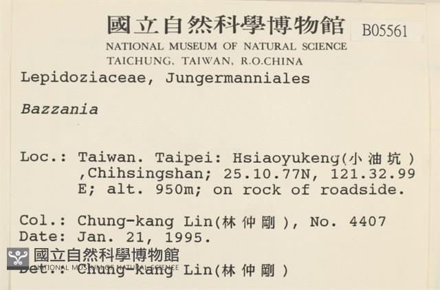 登錄號:B00005561藏品圖，第2張