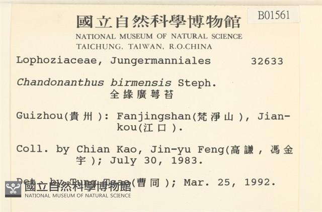 全緣廣萼苔藏品圖，第2張