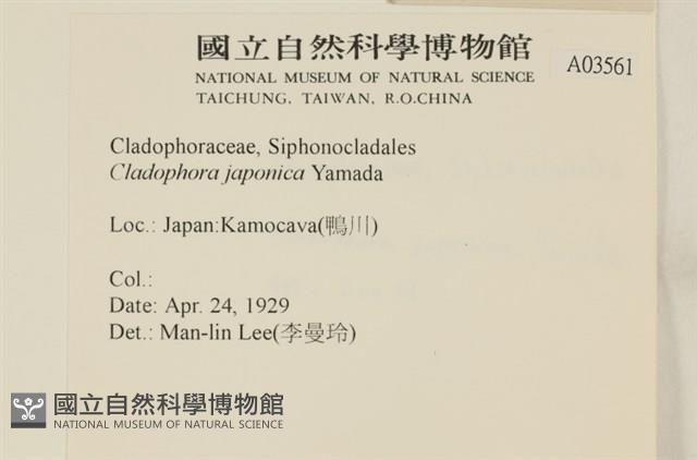 登錄號:A00003561藏品圖，第2張