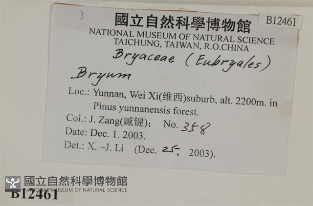 登錄號:B00012461藏品圖，第2張