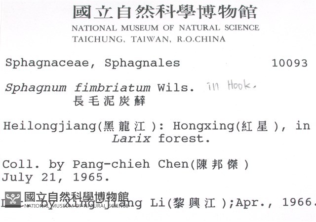 長毛泥炭蘚藏品圖，第2張