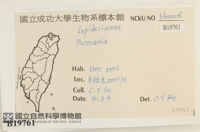登錄號:B00019761藏品圖，第2張