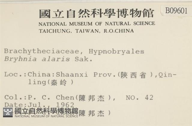 登錄號:B00009601藏品圖，第2張