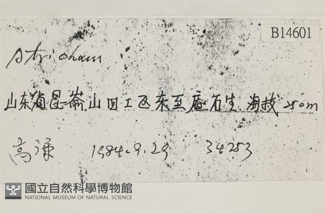 登錄號:B00014601藏品圖，第2張