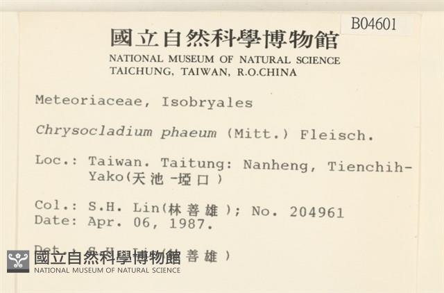 登錄號:B00004601藏品圖，第2張