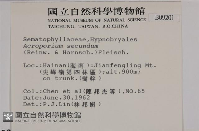 登錄號:B00009201藏品圖，第2張