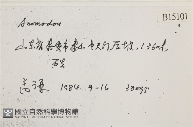 登錄號:B00015101藏品圖，第2張