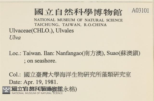 登錄號:A00003101藏品圖，第2張