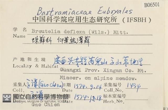 仰葉熱澤蘚藏品圖，第2張