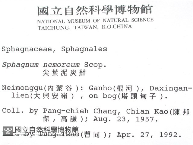 尖葉泥炭蘚藏品圖，第2張