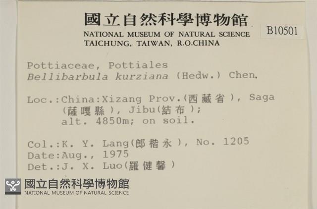 登錄號:B00010501藏品圖，第2張