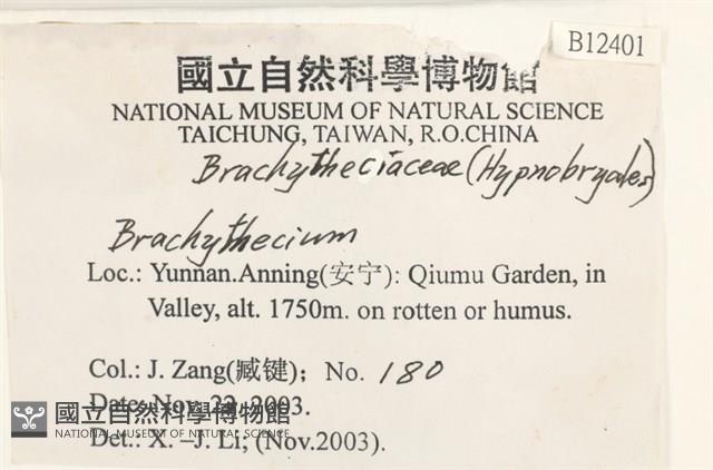 登錄號:B00012401藏品圖，第2張