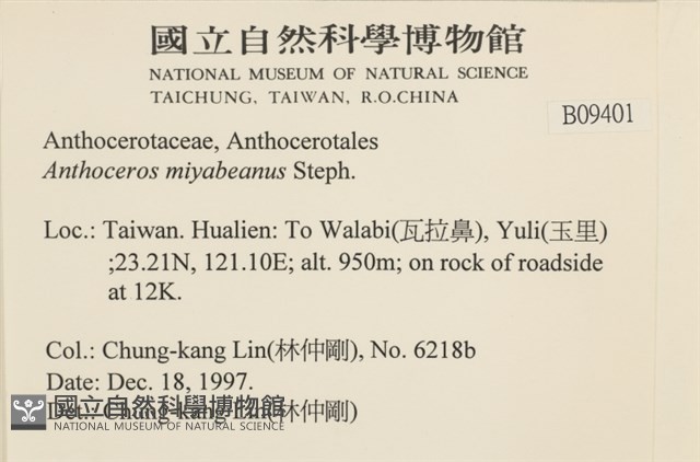 登錄號:B00009401藏品圖，第2張