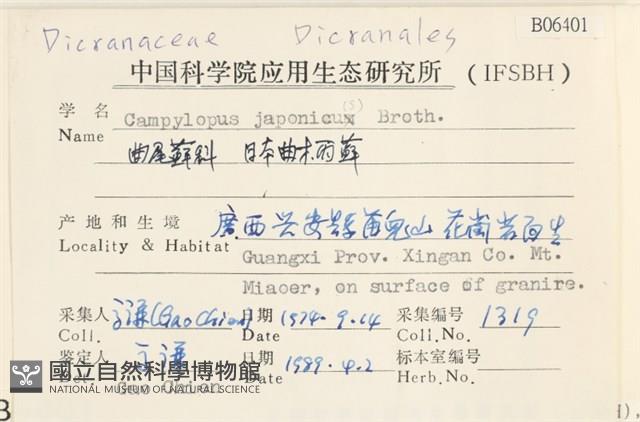 日本曲柄蘚藏品圖，第2張