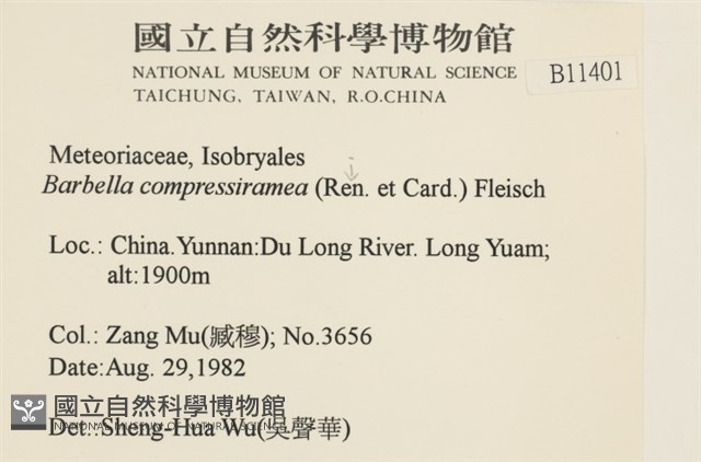 登錄號:B00011401藏品圖，第2張