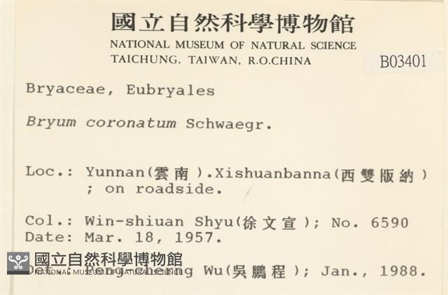 蕊形真蘚藏品圖，第2張