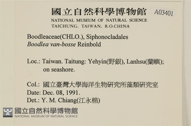 登錄號:A00003401藏品圖，第2張