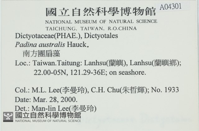 南方團扇藻藏品圖，第2張