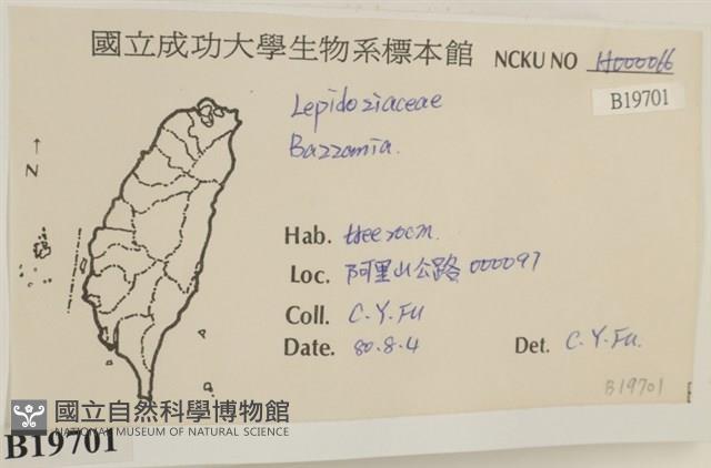 館號:B00019701藏品圖，第2張