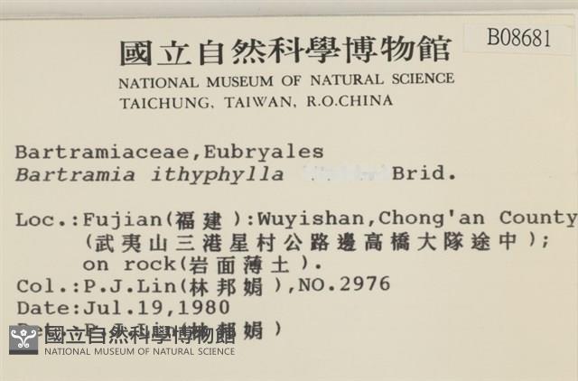 直葉珠蘚藏品圖，第2張