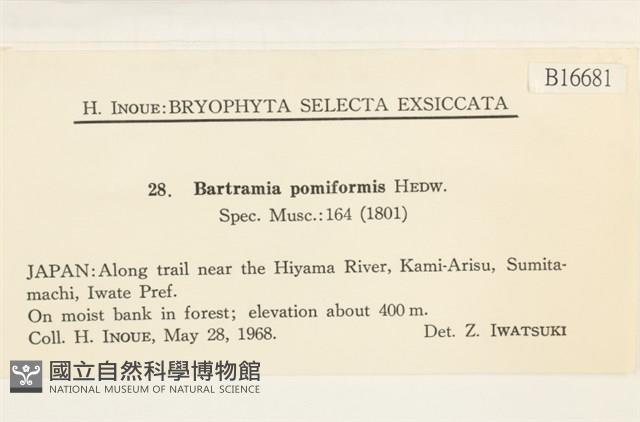 登錄號:B00016681藏品圖，第2張