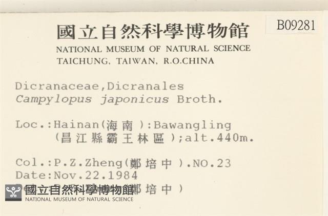 日本曲柄蘚藏品圖，第2張