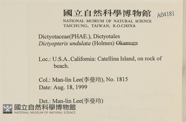 登錄號:A00004181藏品圖，第2張
