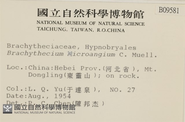 登錄號:B00009581藏品圖，第2張