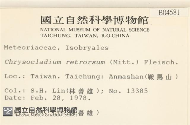 Accession Number:B00004581 Collection Image, Figure 2, Total 2 Figures