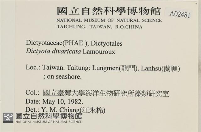 登錄號:A00002481藏品圖，第2張
