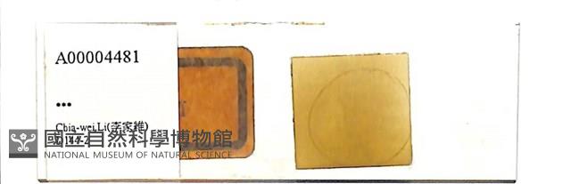 登錄號:A00004481藏品圖，第1張