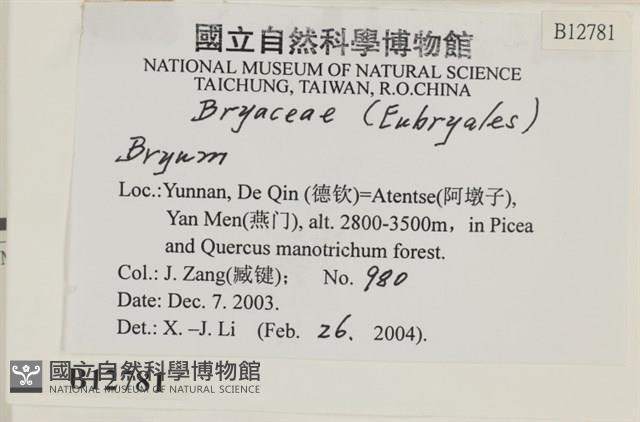 登錄號:B00012781藏品圖，第2張