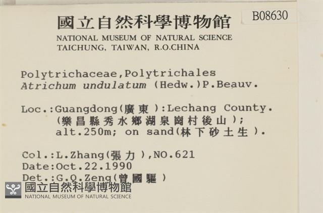 仙鶴蘚藏品圖，第2張