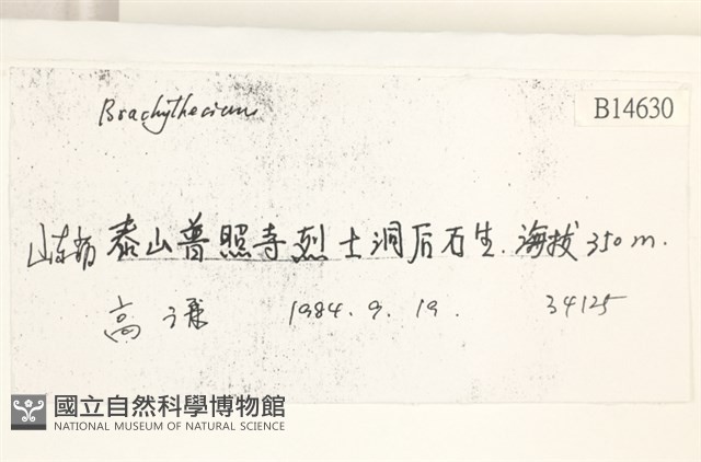 登錄號:B00014630藏品圖，第2張
