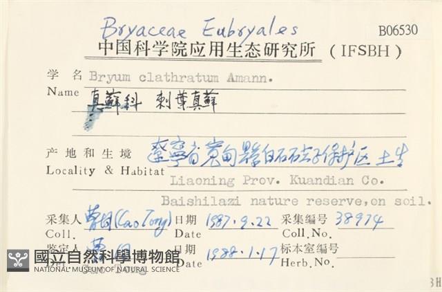 刺葉真蘚藏品圖，第2張