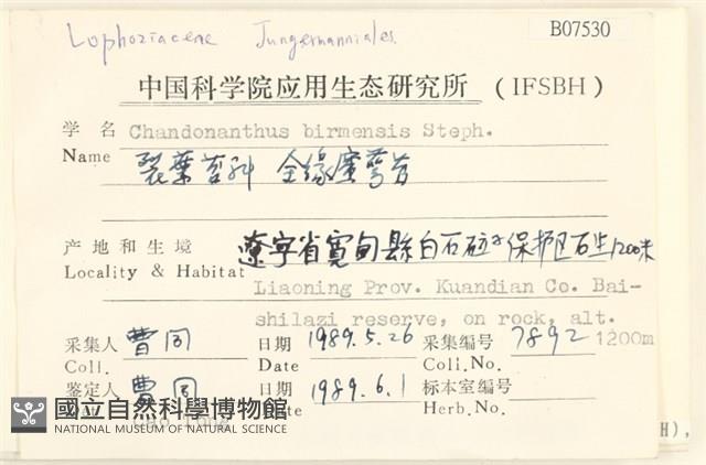 全緣廣萼苔藏品圖，第2張