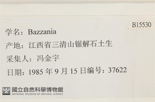 登錄號:B00015530藏品圖，第2張