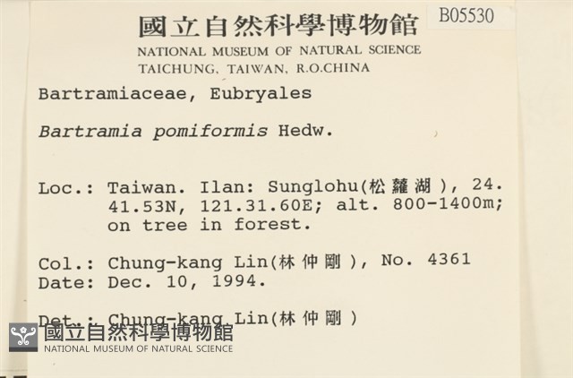 登錄號:B00005530藏品圖，第2張