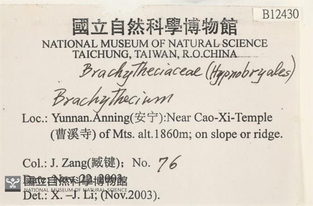 登錄號:B00012430藏品圖，第2張