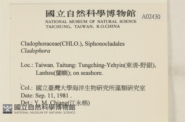 Accession Number:A00002430 Collection Image, Figure 2, Total 3 Figures