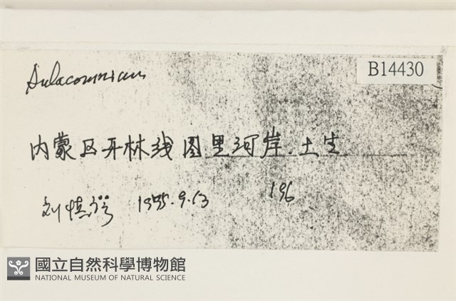 登錄號:B00014430藏品圖，第2張