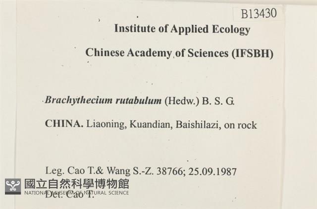 卵葉青蘚藏品圖，第2張