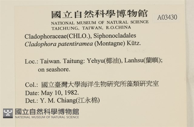 登錄號:A00003430藏品圖，第2張