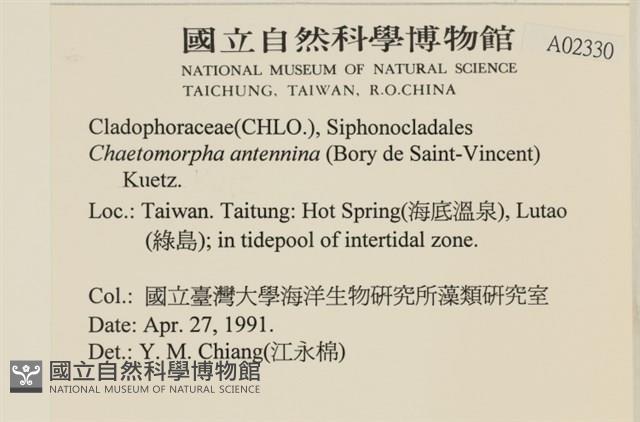 登錄號:A00002330藏品圖，第2張