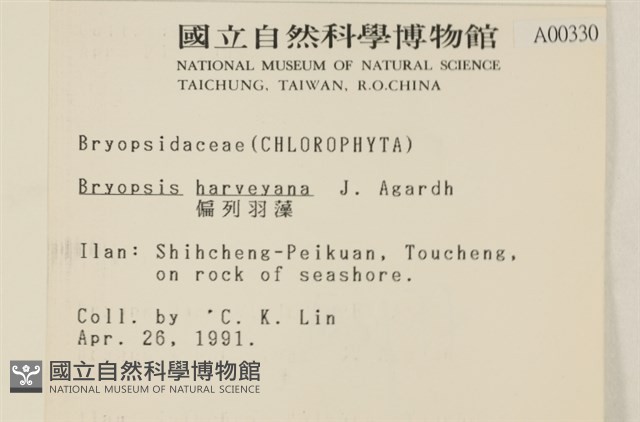 偏列羽藻藏品圖，第2張