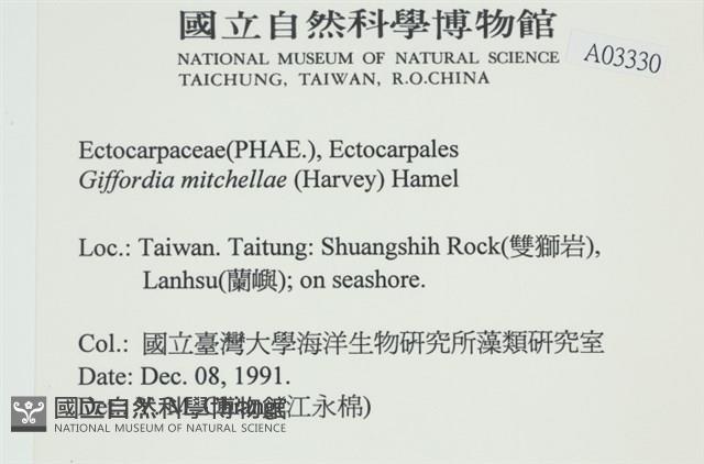 登錄號:A00003330藏品圖，第2張